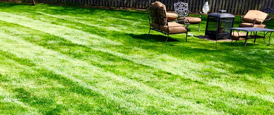 Lawn Care Services In Westfield Nj Greenscapes Landscape Management